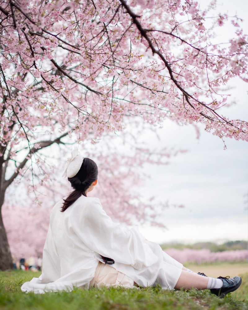Woman under cherry blossoms — Cherry Blossom Season